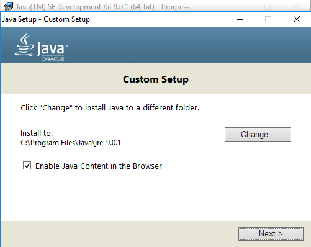 java windows 10 custom setup