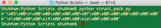 python struct pack