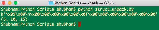 python struct unpack
