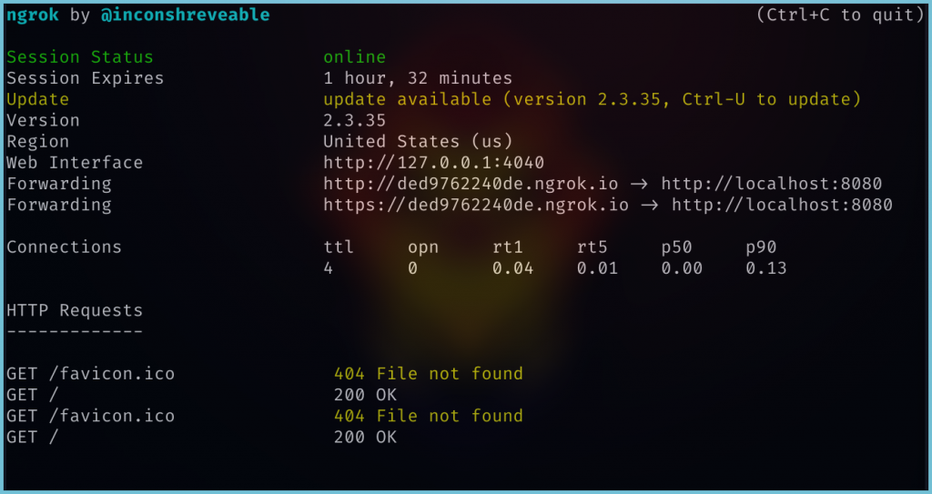 Port Forwarding With Ngrok